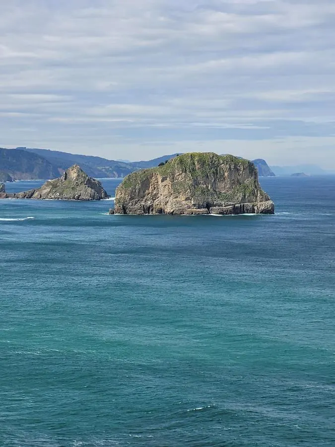 Txiki Daire Bermeo